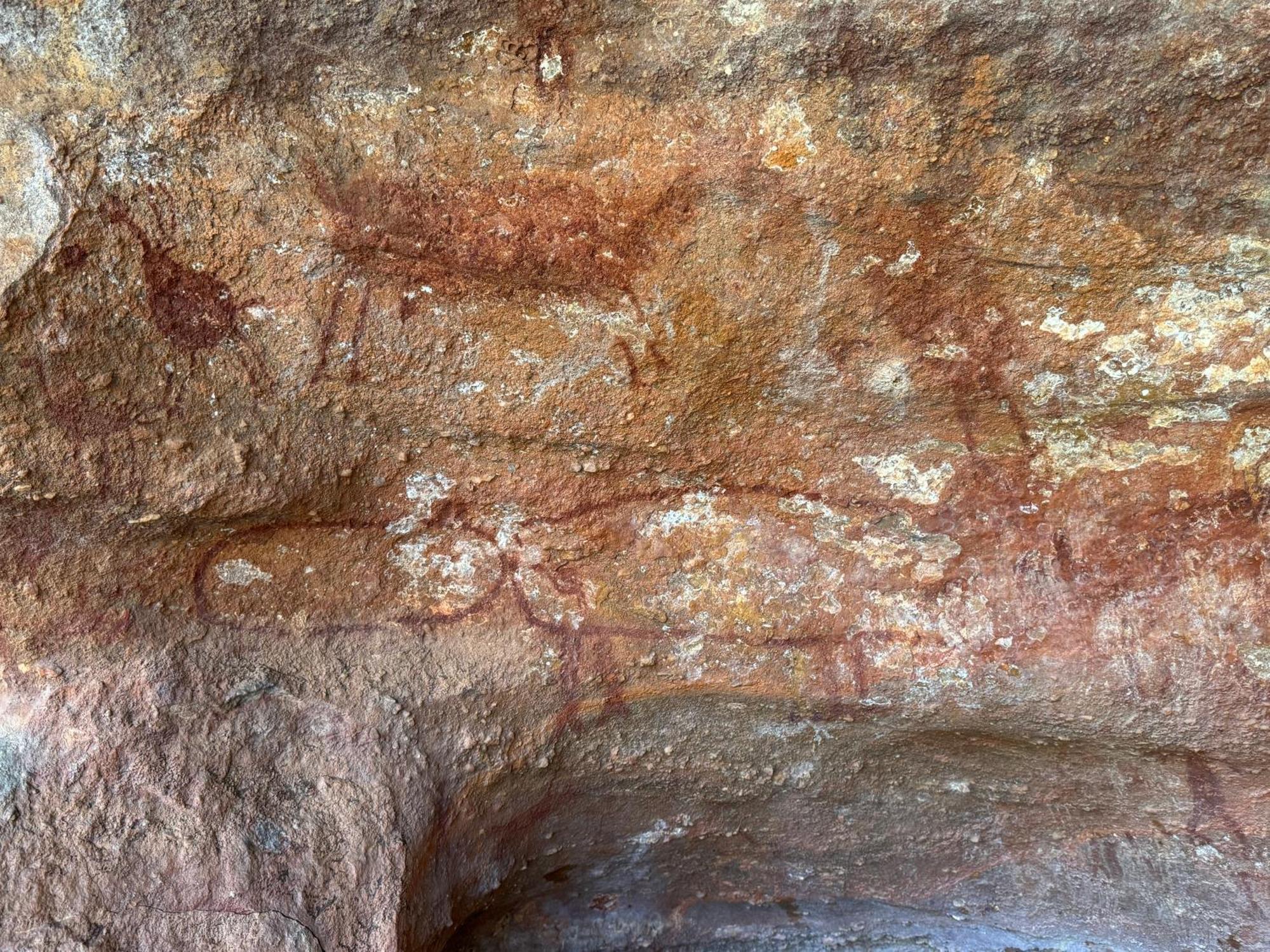 Casa Barreirinho Parque Nacional Serra Da Capivara Coronel Jose Dias エクステリア 写真