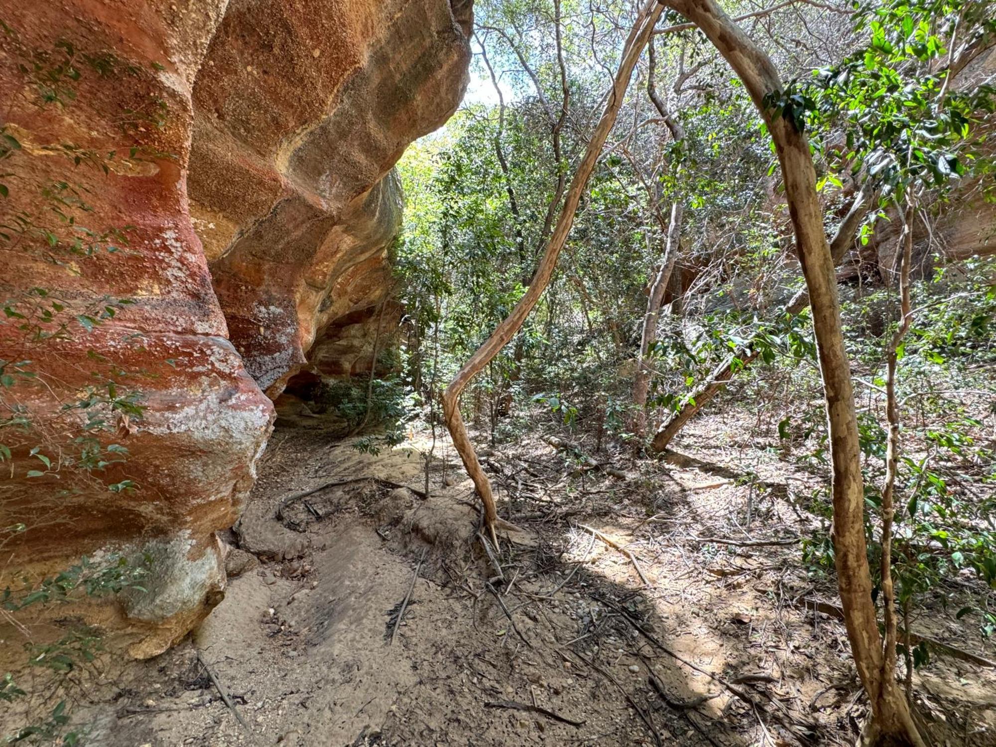 Casa Barreirinho Parque Nacional Serra Da Capivara Coronel Jose Dias エクステリア 写真