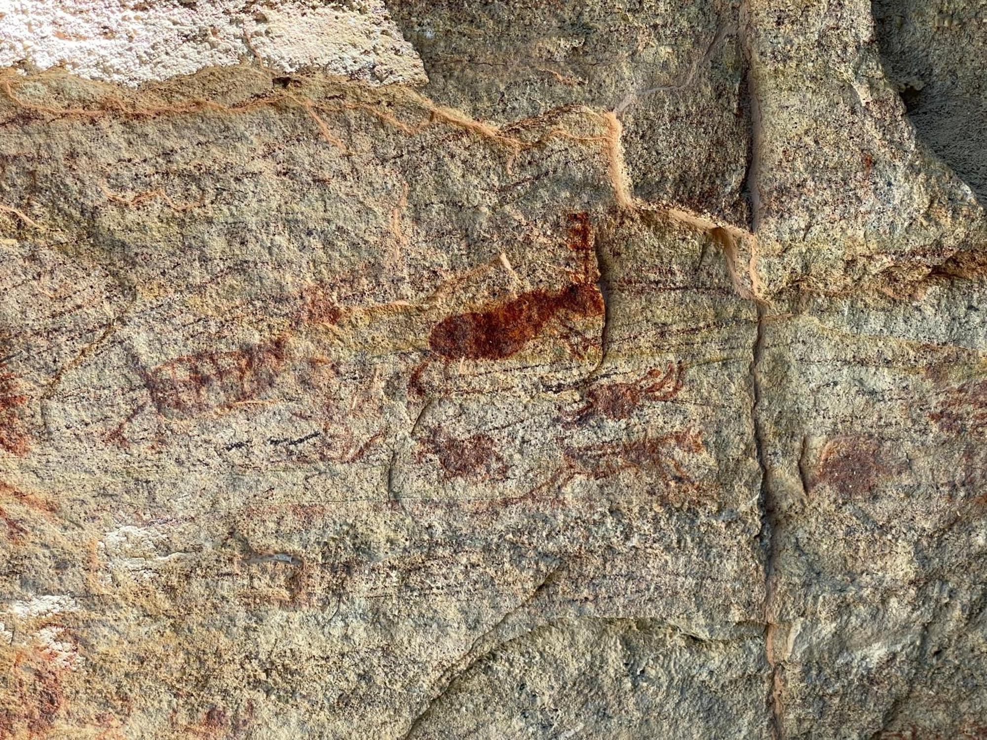 Casa Barreirinho Parque Nacional Serra Da Capivara Coronel Jose Dias エクステリア 写真