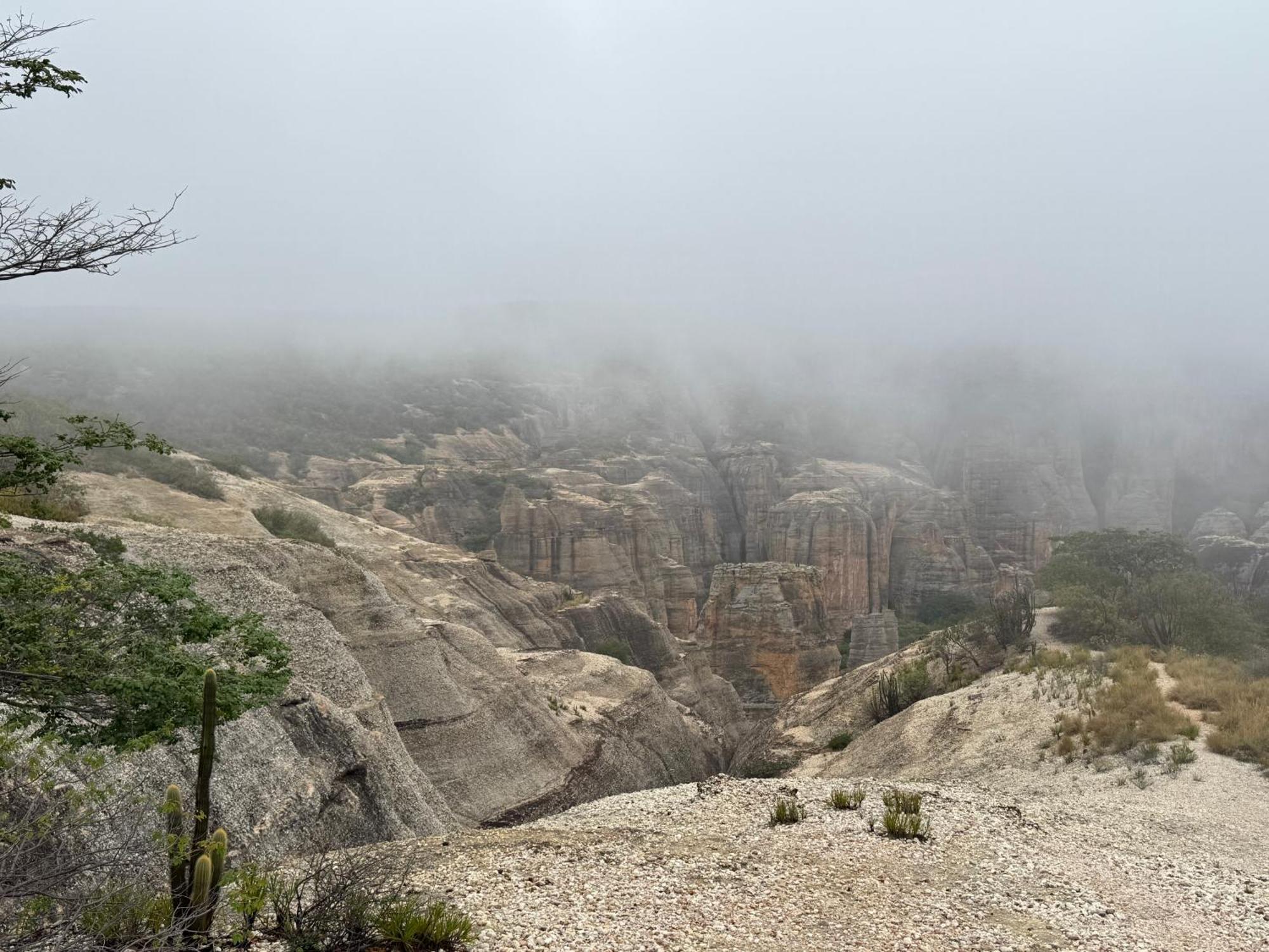 Casa Barreirinho Parque Nacional Serra Da Capivara Coronel Jose Dias エクステリア 写真