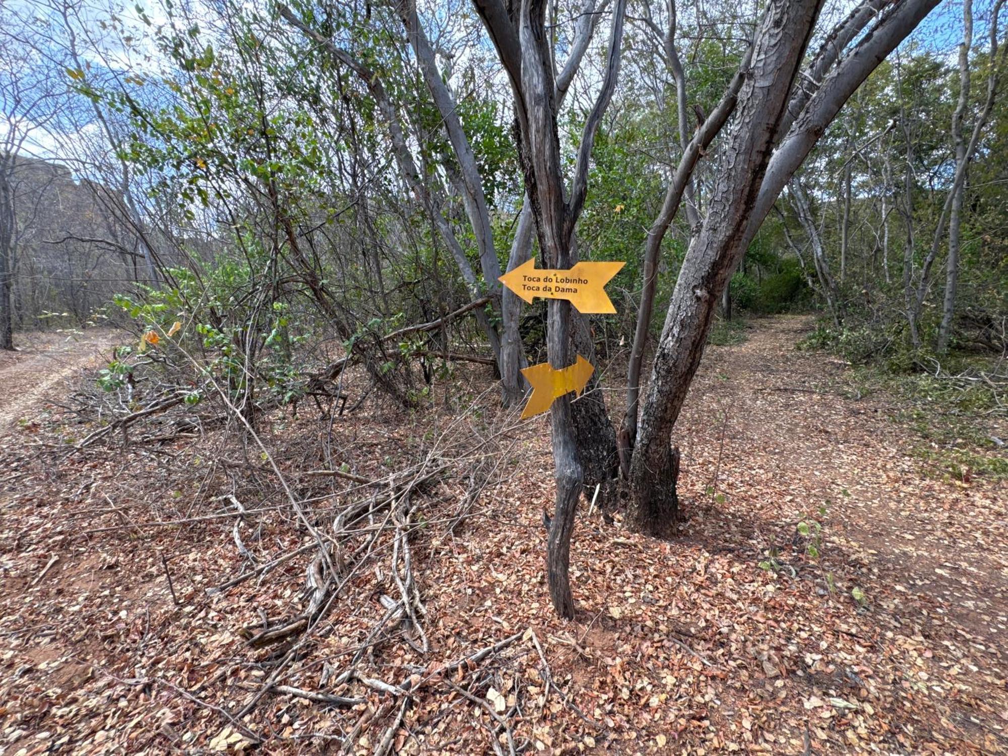 Casa Barreirinho Parque Nacional Serra Da Capivara Coronel Jose Dias エクステリア 写真