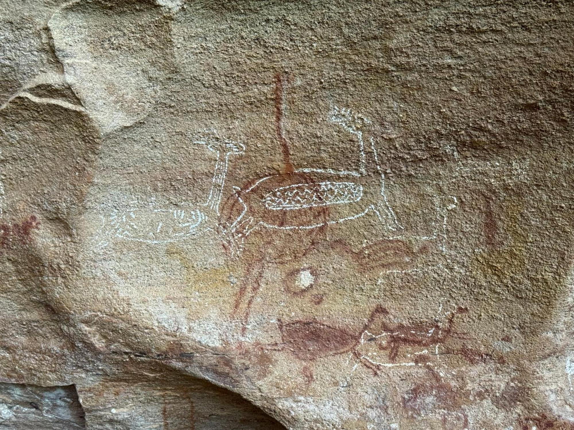 Casa Barreirinho Parque Nacional Serra Da Capivara Coronel Jose Dias エクステリア 写真