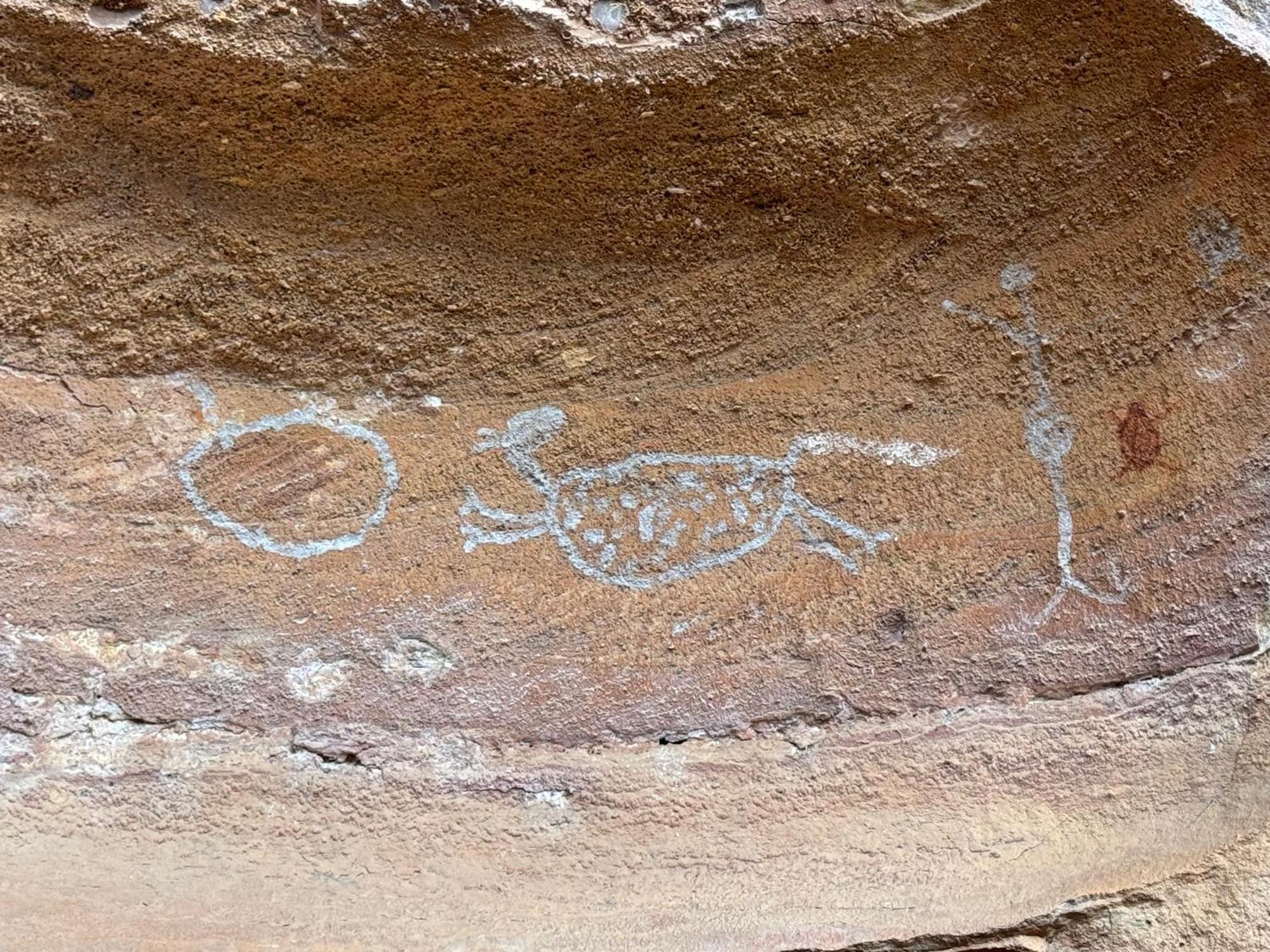 Casa Barreirinho Parque Nacional Serra Da Capivara Coronel Jose Dias エクステリア 写真