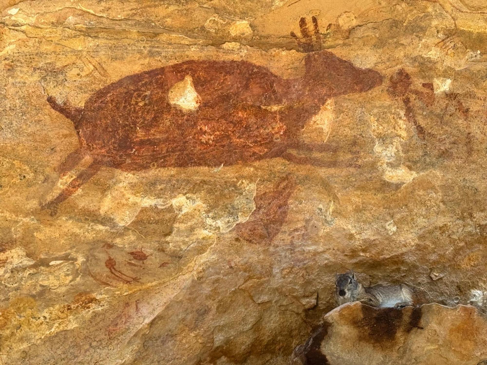 Casa Barreirinho Parque Nacional Serra Da Capivara Coronel Jose Dias エクステリア 写真