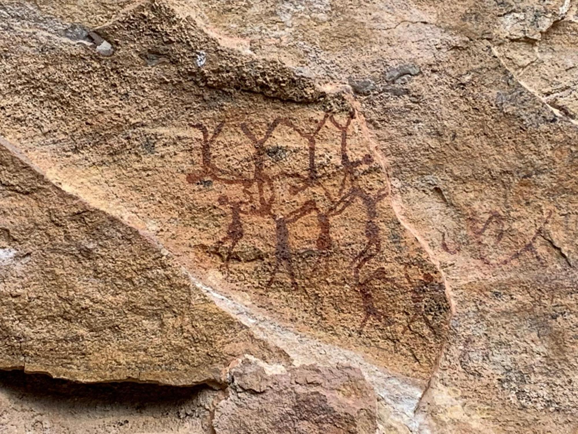 Casa Barreirinho Parque Nacional Serra Da Capivara Coronel Jose Dias エクステリア 写真